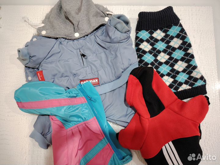 Одежда для собак мелких пород