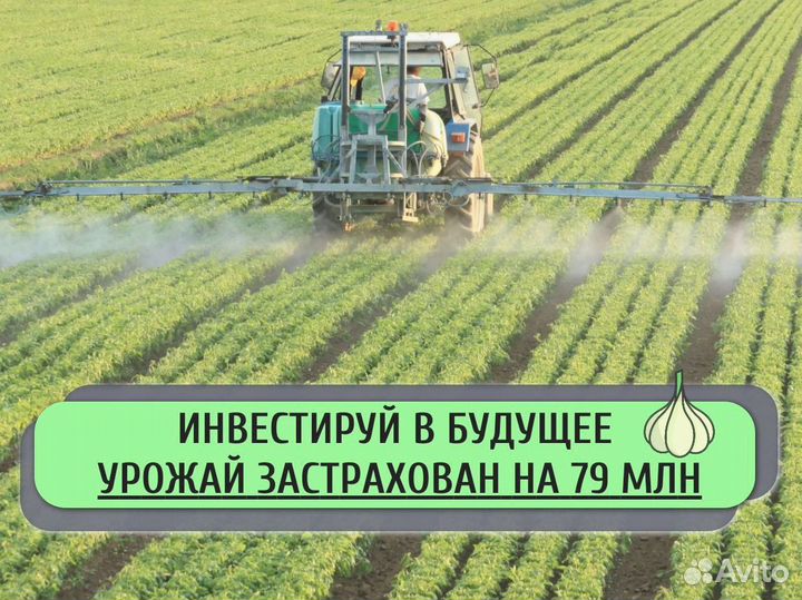 Ищу инвестора / Пассивный доход