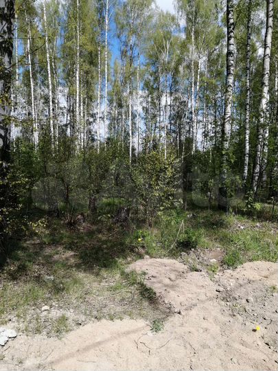 Участок 15 сот. (ИЖС)