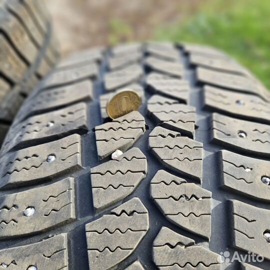 Tigar Sigura Stud 205/55 R16