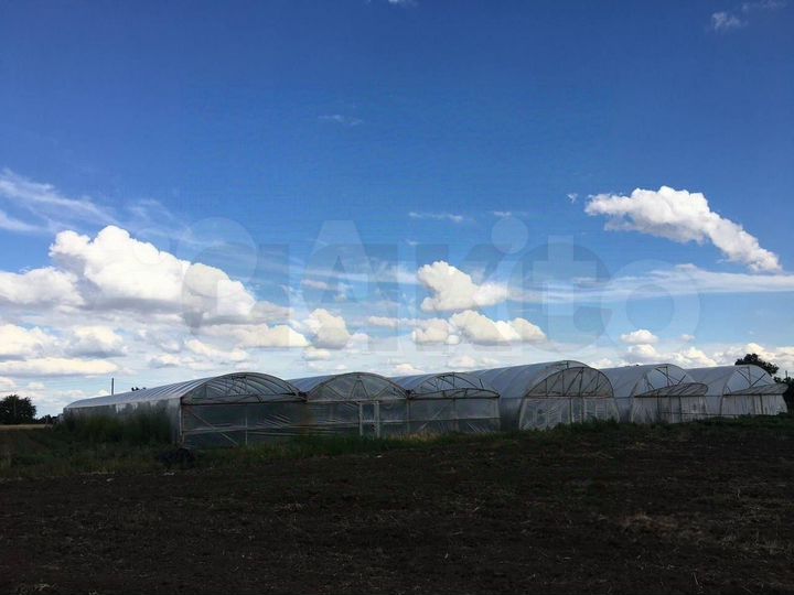 Участок 54,4 сот. (личное подсобное хозяйство (лпх))