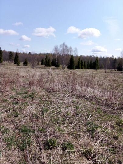 Участок 6 га (СНТ, ДНП)