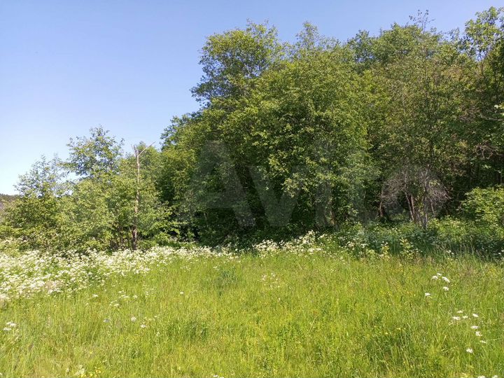 Участок 2 га (СНТ, ДНП)