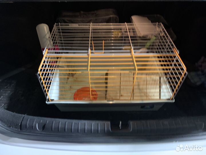 Клетка для свинки
