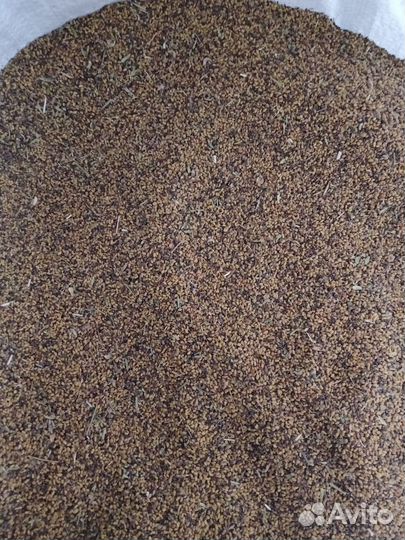 Семена люцерны