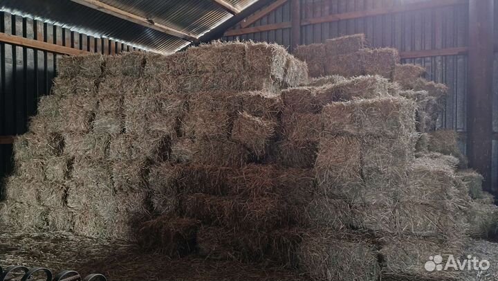 Продам сено в тюках