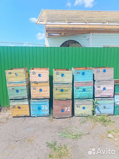 Ульи, пакеты для перевозки пчёл