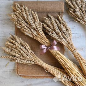 Сухоцвет: Пшеница декоративная пучок