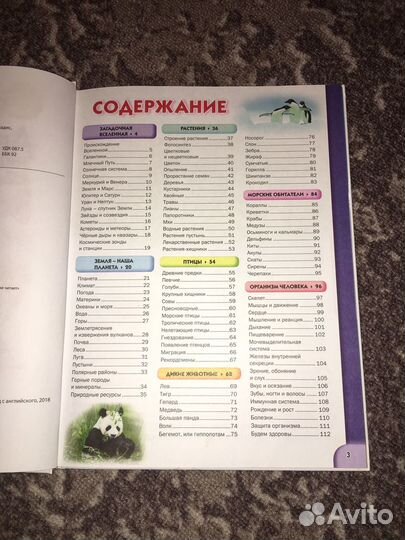 Детская энциклопедия