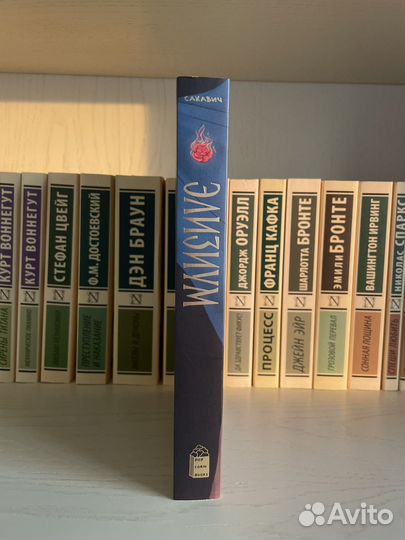 Элизиум popcorn books