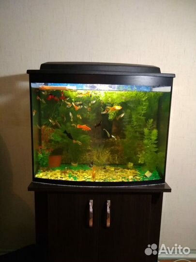 Аквариумы 85 литров с крышкой и светом