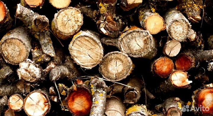 Дрова доставим
