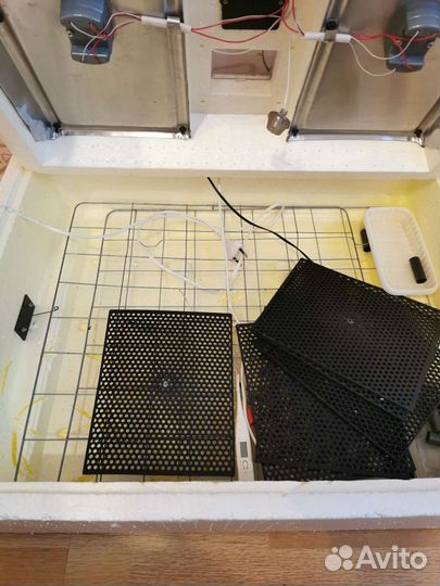 Инкубатор для яиц автоматический золушка