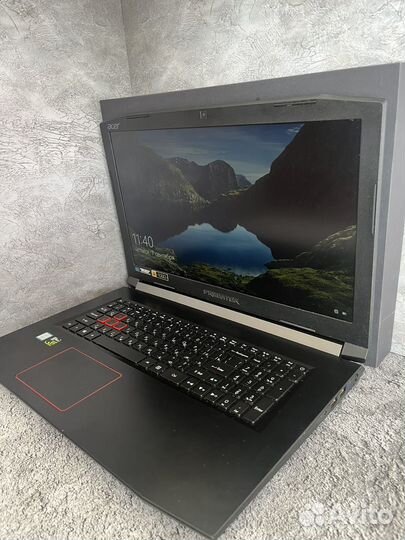 Acer predator