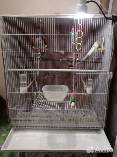 Продам клетку
