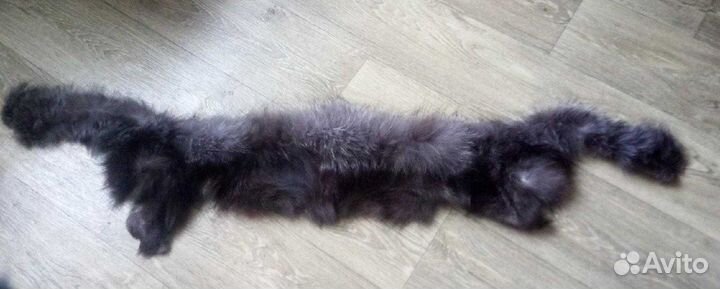 Новые меховые воротники