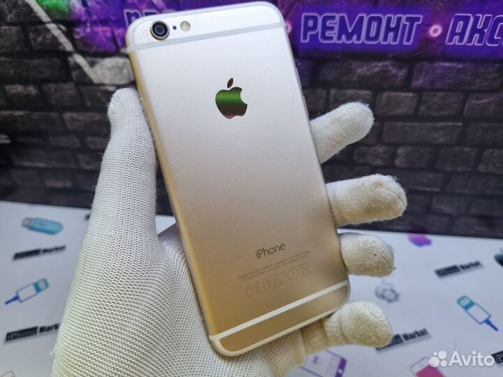 iPhone 6