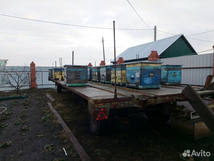 Продам ульи и платформу