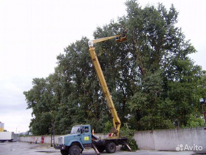 Спил деревьев