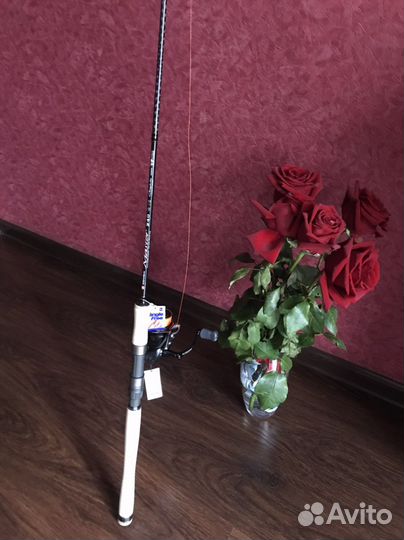 Спиннинг Zemex master 240 4-16g катушка Ryobi