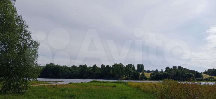 Дом 42 м² на участке 50 сот.