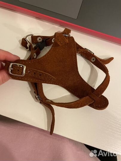 Шлейка замша быстросъёмная для собак мелких пород