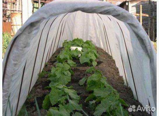 Парник Агротекс