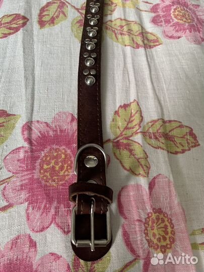 Ошейник для собак из натуральной кожи