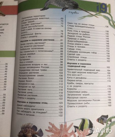 Большая энциклопедия Юного эколога