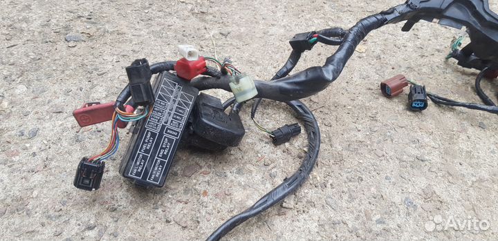 Honda CBR1000RR Коса Проводки hiss 32100-MFL-641