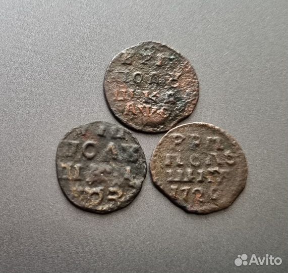 Лот: полушки врп 1719,1720,1722 гг