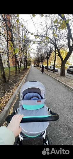 Коляска verdi optima 2 в 1