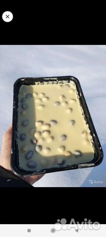 Шоколад белый опт