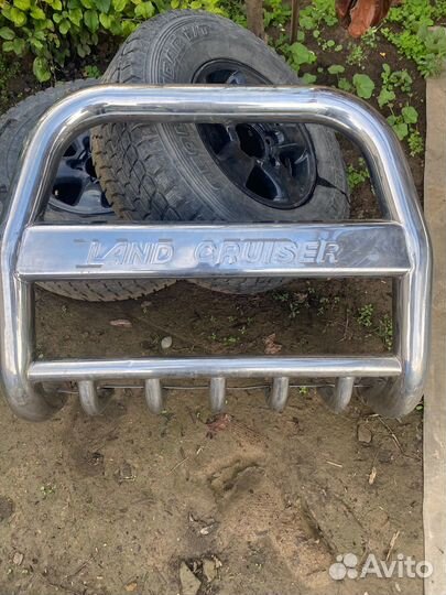 Кенгурин на крузак