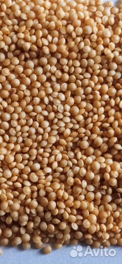 Семена амаранта