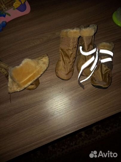 Обувь для собак