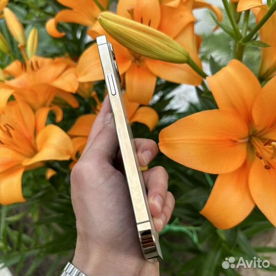 iPhone 12 Pro Max 256Gb