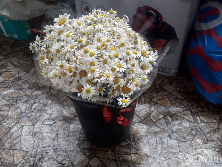 Букеты из ромашек