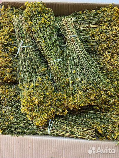 Душица (матрешка) и зверобой