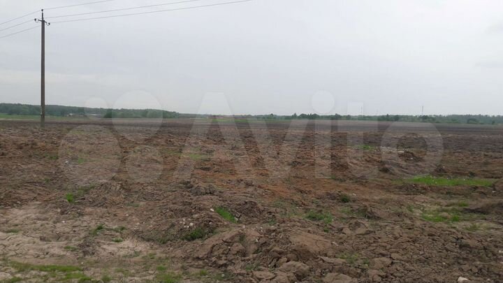 Участок 500 га (СНТ, ДНП)