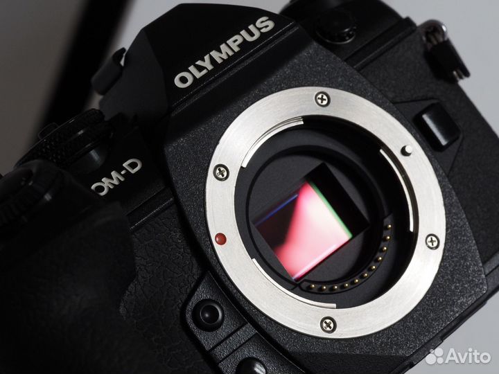 Olympus OM-D E-M1 Mark II