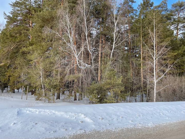 Участок 10 сот. (ИЖС)