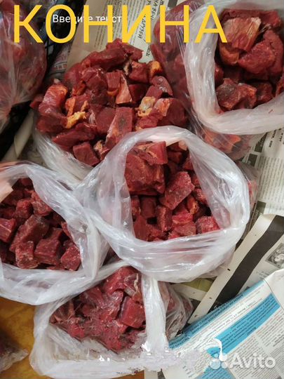 Корм для животных