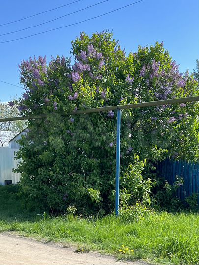 Участок 12 сот. (ИЖС)