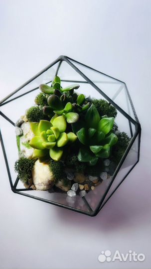 Флорариум 