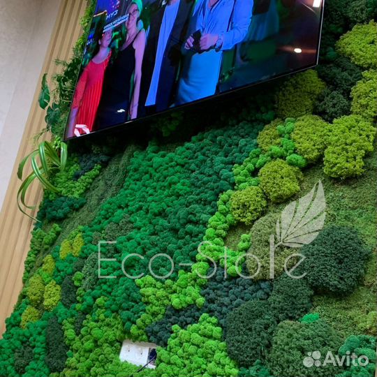 Панель из мха