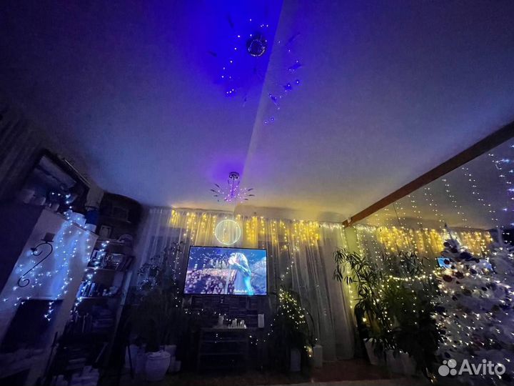 Елка новогодняя