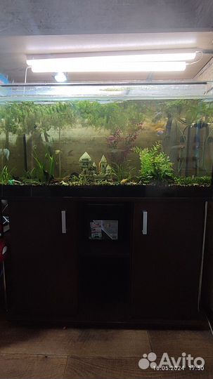 Аквариум с тумбой 200л