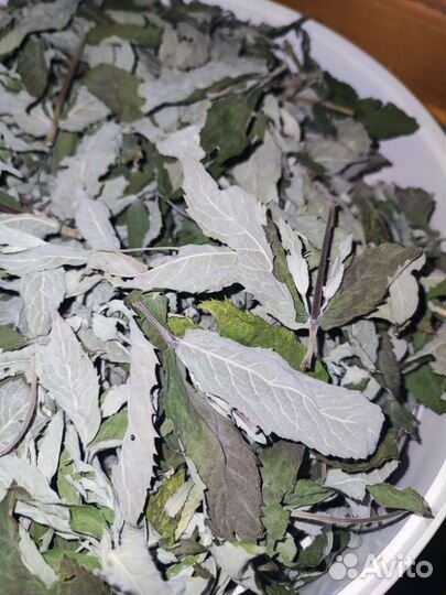 Мята сушеная