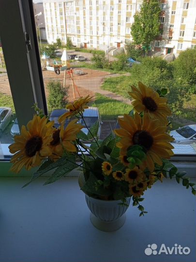 Подсолнухи